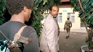 meles tplf