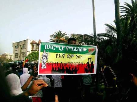 Debre-MarkosAnit-gov-protest