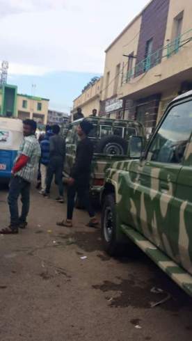 tplf-soldiers-logistic